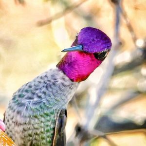 Meet your Posher, Barb